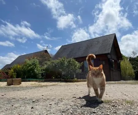 Les Rainettes * Vienne-en-Bessin