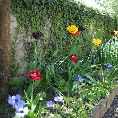 Holiday home Les Rainettes Vienne-en-Bessin