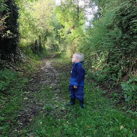 Les Rainettes Holiday home