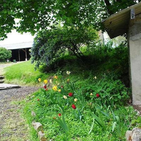 Les Rainettes Holiday home *