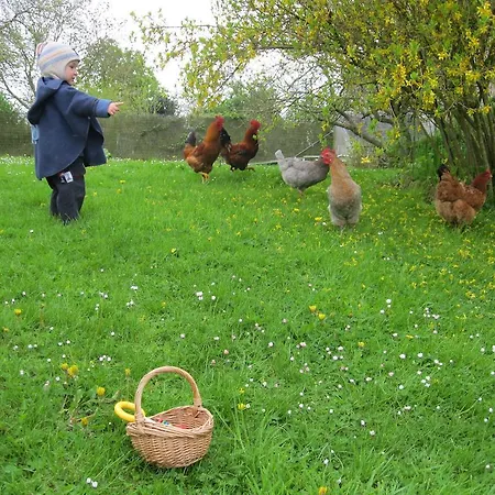 Holiday home Les Rainettes Vienne-en-Bessin