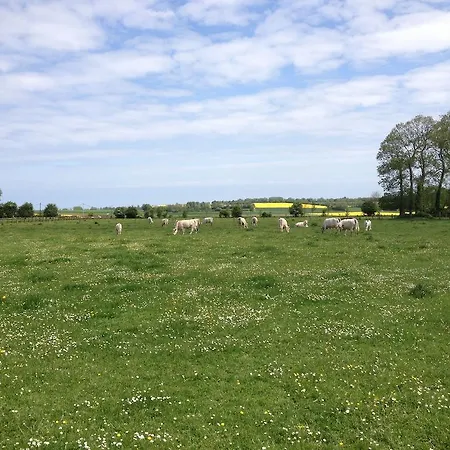 Les Rainettes * Vienne-en-Bessin