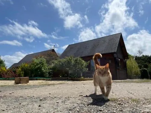 莱内特法式乡间别墅 * Vienne-en-Bessin