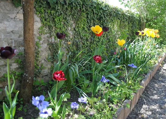 度假居 莱内特法式乡间别墅 Vienne-en-Bessin