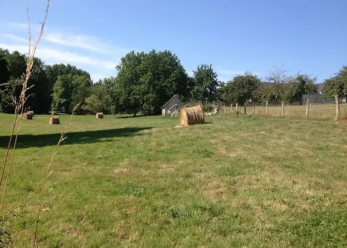 莱内特法式乡间别墅 Vienne-en-Bessin