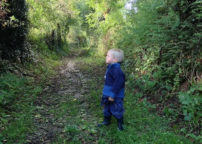 莱内特法式乡间别墅 度假居