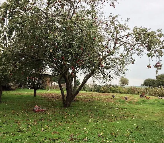 莱内特法式乡间别墅