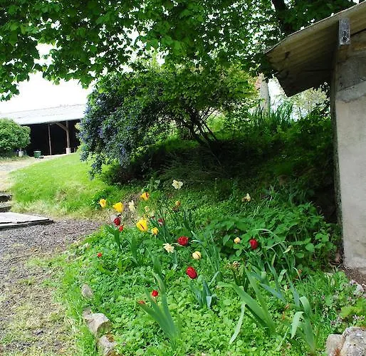 莱内特法式乡间别墅 度假居 *