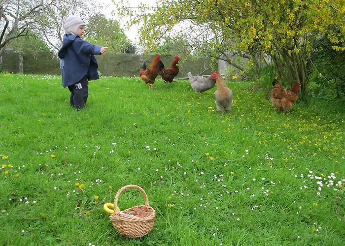 度假居 莱内特法式乡间别墅 Vienne-en-Bessin