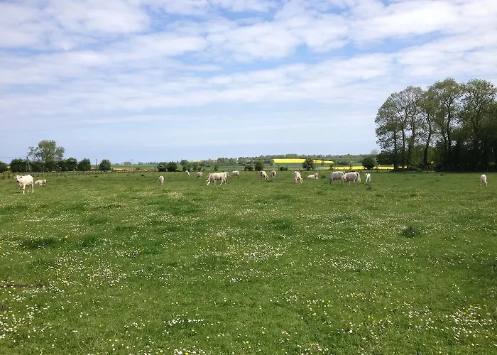 莱内特法式乡间别墅 * Vienne-en-Bessin