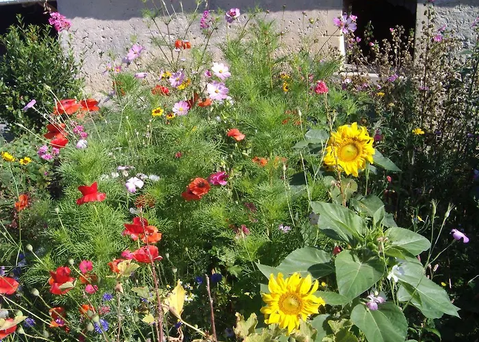 莱内特法式乡间别墅 Vienne-en-Bessin